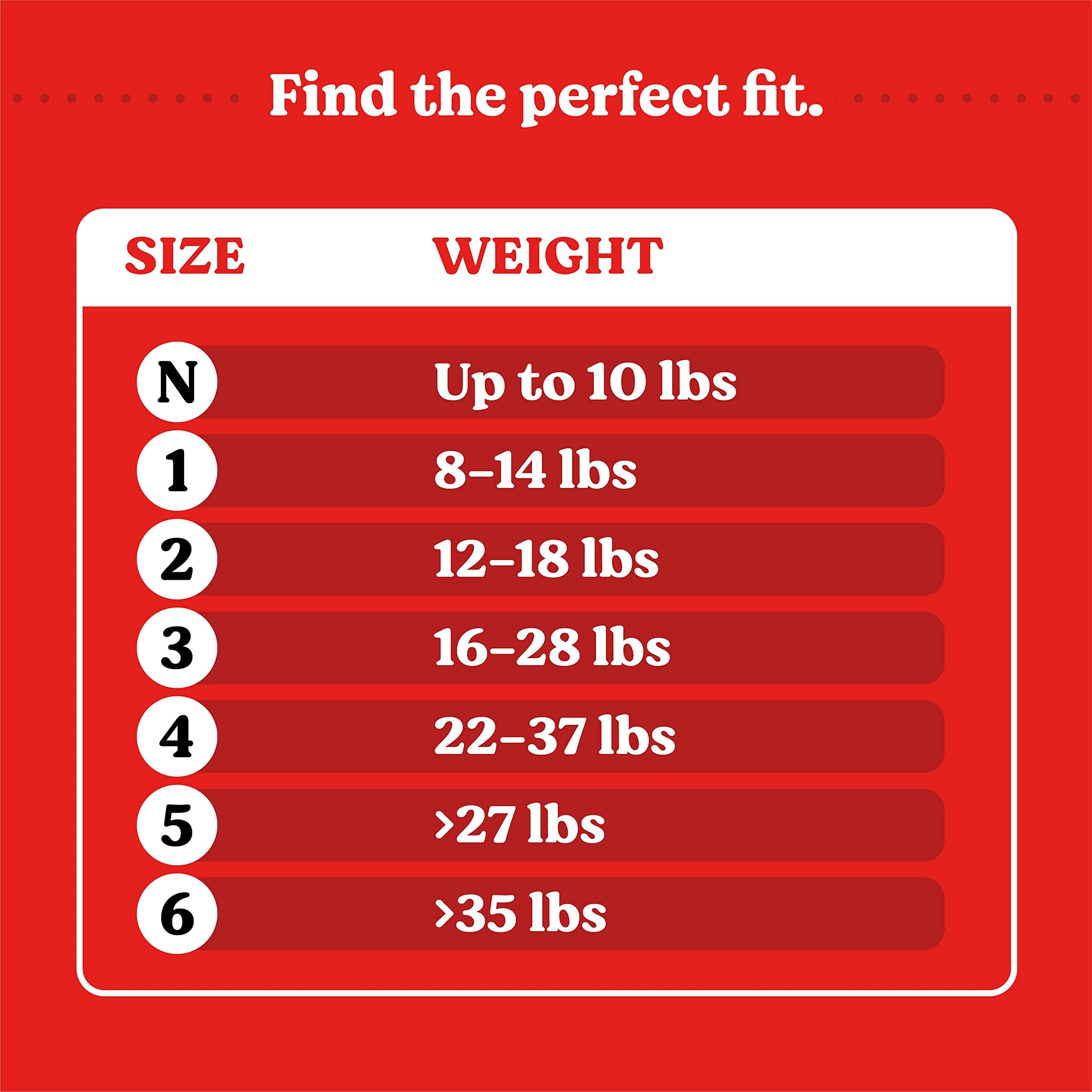 Uniform Belt Size Guide